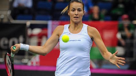t maria tennis explorer  Bondarenko Maria - profile 